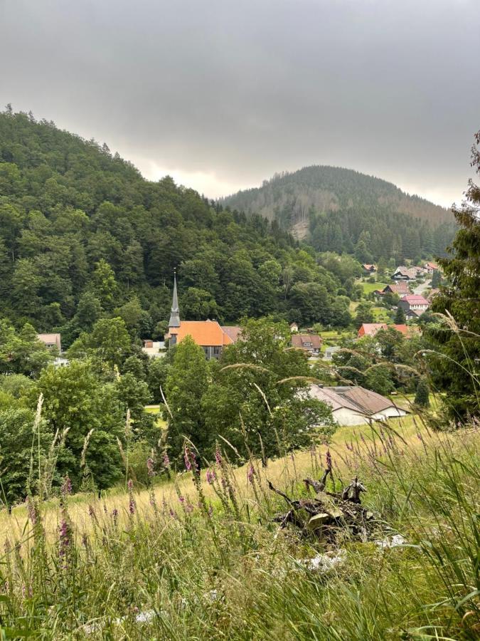 Gemuetliches Apartment Mit Kamin Und Wohnkueche Herzberg am Harz Exterior photo